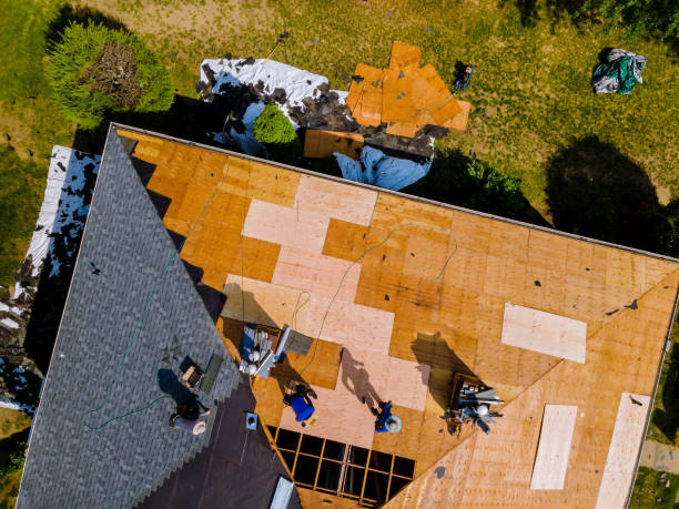 Best Roof Leak Repair  in Dawsonville, GA