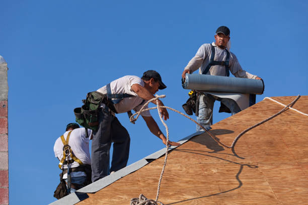 Best Residential Roof Replacement  in Dawsonville, GA